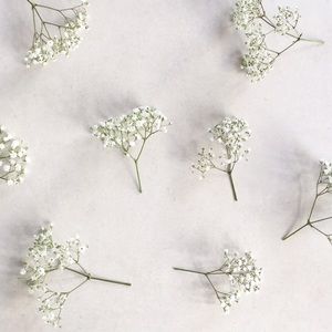 Meet your Posher, Yujin